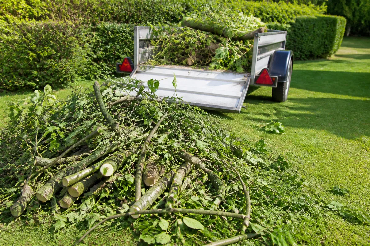 Que faire des déchets d'élagage : filières et règles