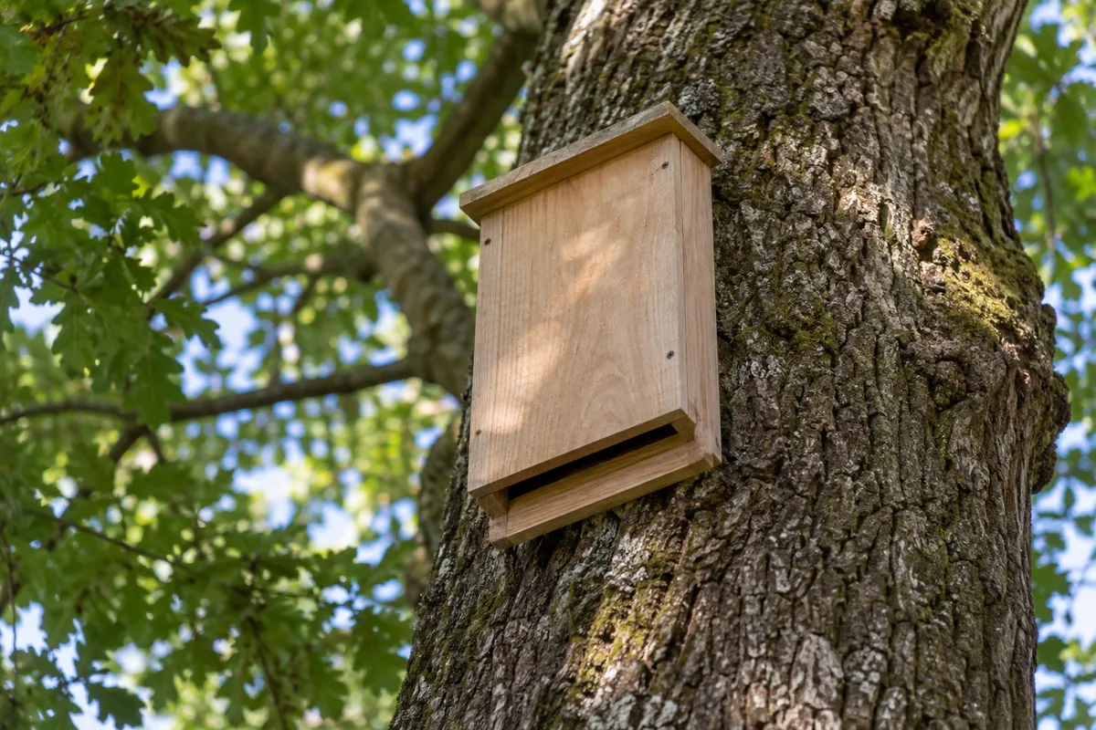 Gîte à chauves-souris en bois fixé en hauteur sur un tronc d&rsquo;arbre